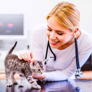 Settore Veterinario